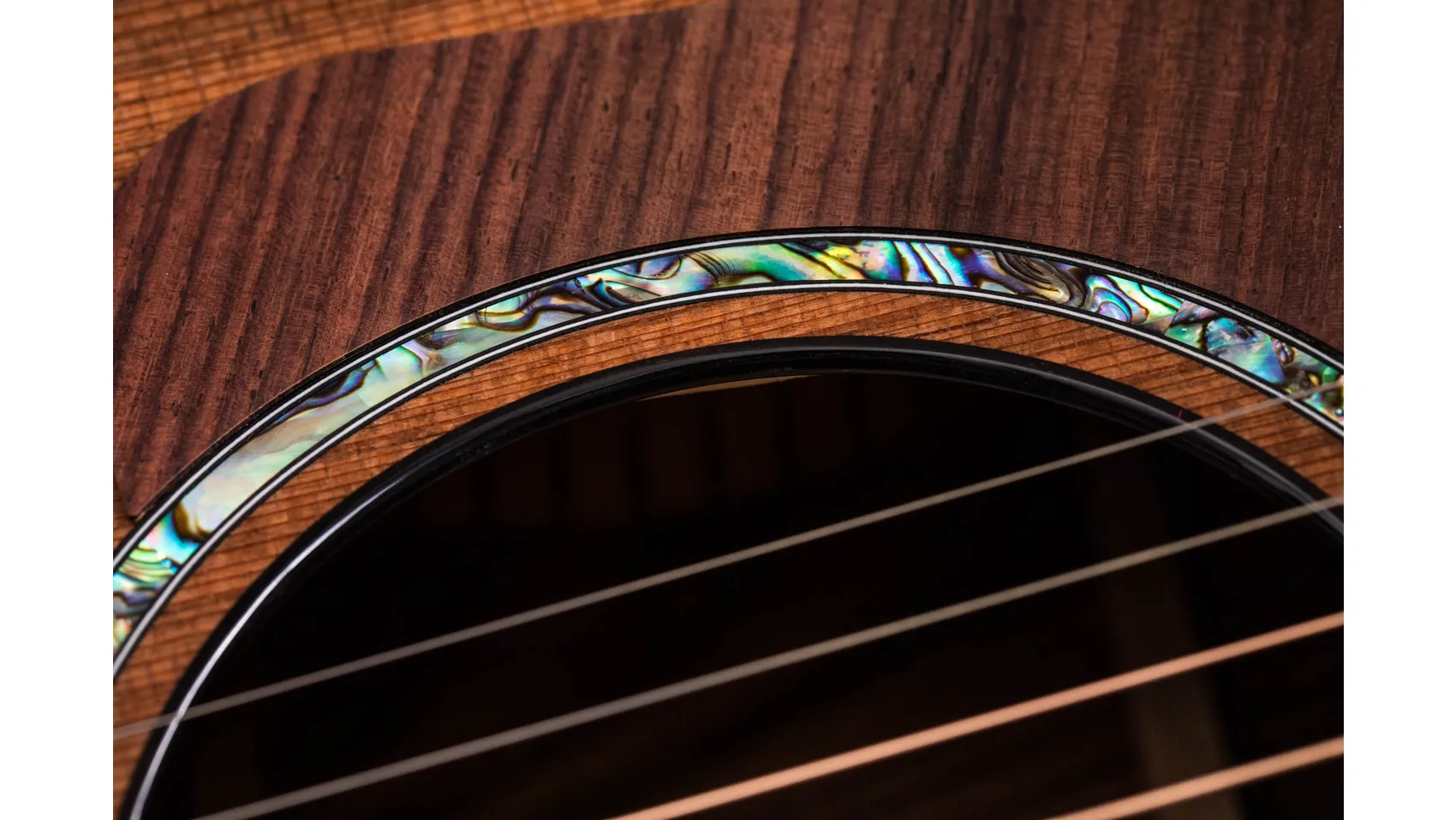 PS14ce Honduran RosewoodHonduran Rosewoodアコースティック
